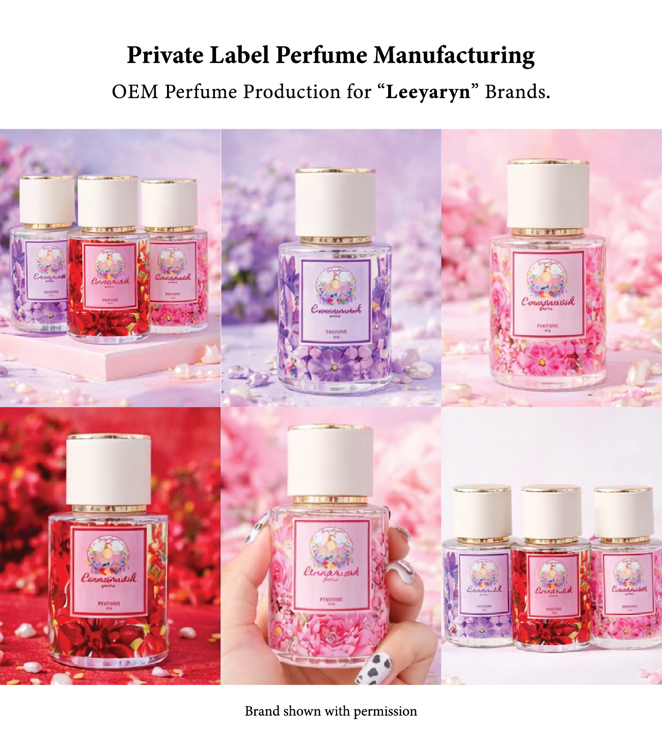 Portfolio PERFUME NO BOX-9